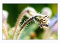 070414-15_Lussault_56 copie